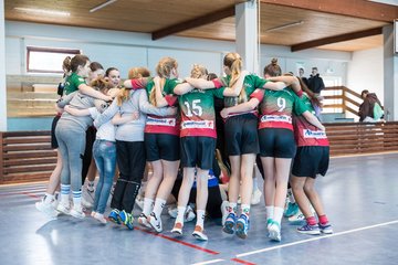 Bild 41 - wDJ HSG Kremperheide/Muensterdorf - TSV SR Schuelp : Ergebnis: 26:5